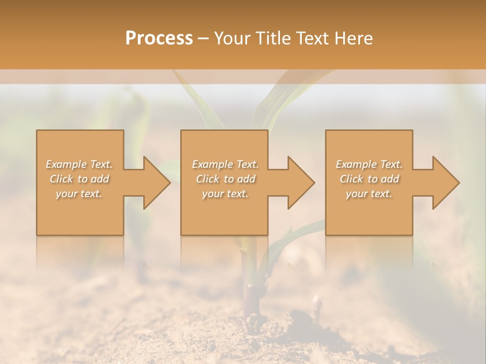 Dirt Beginnings Grain PowerPoint Template