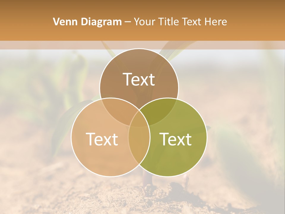 Dirt Beginnings Grain PowerPoint Template