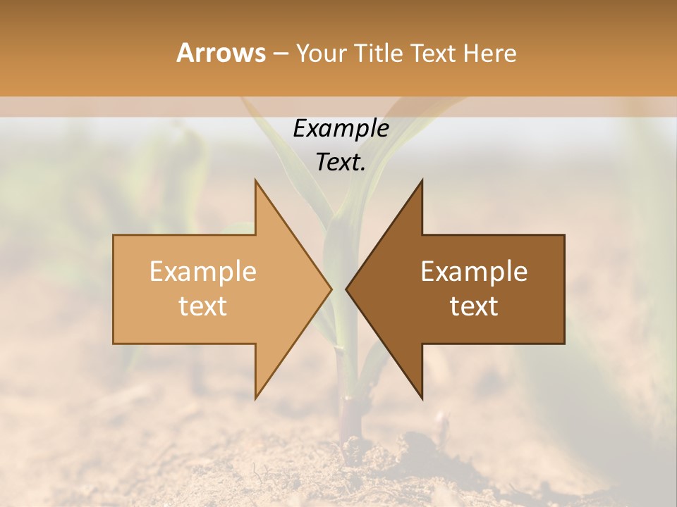 Dirt Beginnings Grain PowerPoint Template