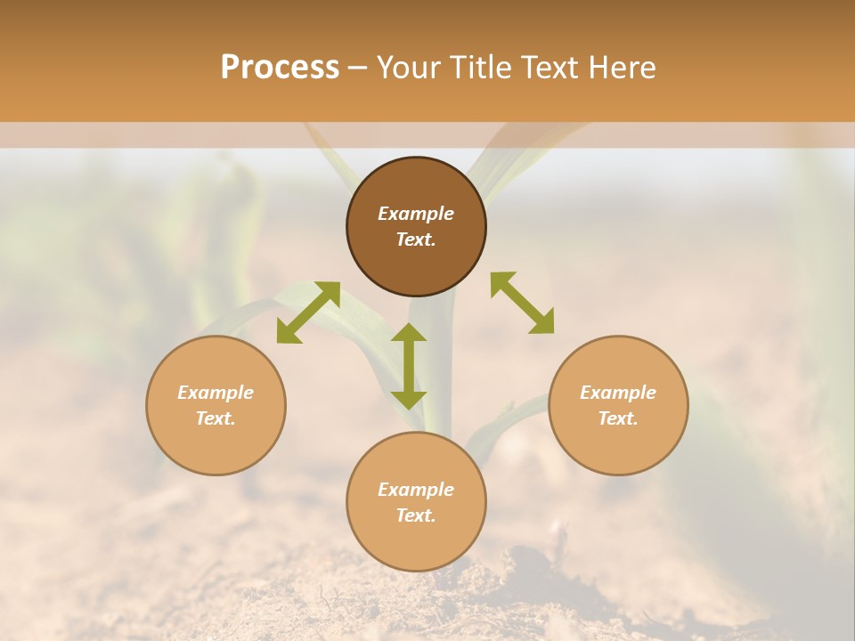Dirt Beginnings Grain PowerPoint Template