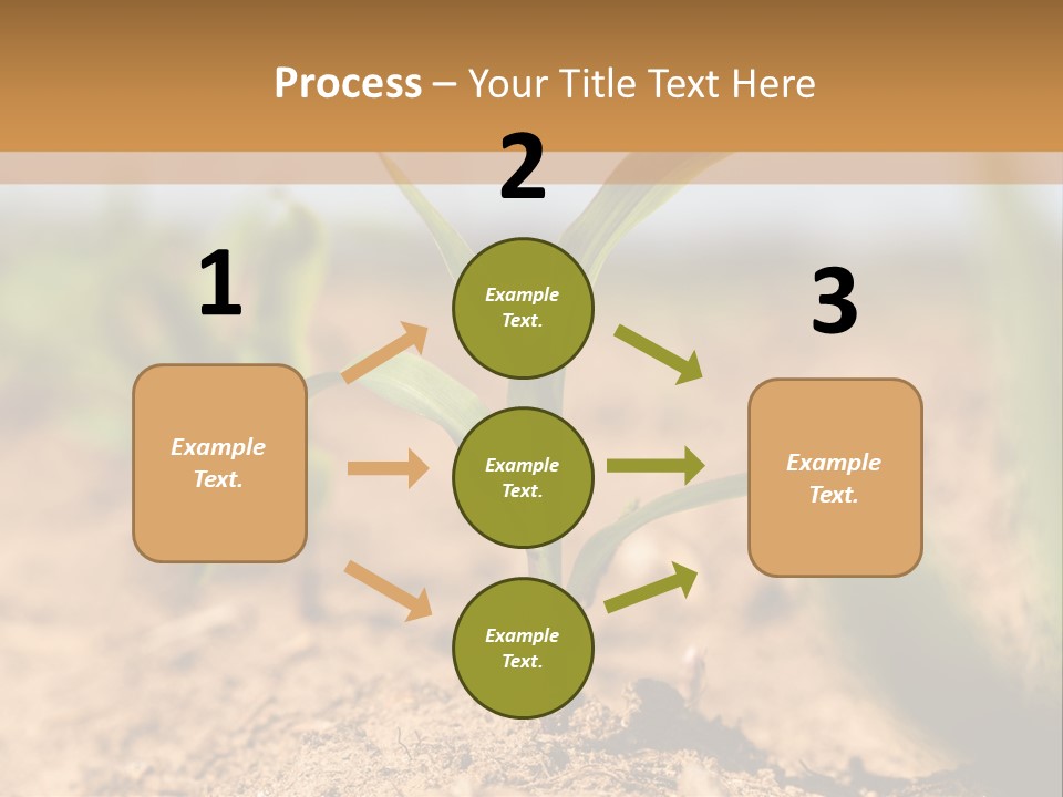 Dirt Beginnings Grain PowerPoint Template