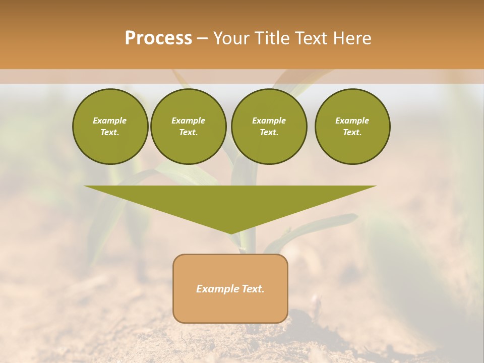 Dirt Beginnings Grain PowerPoint Template