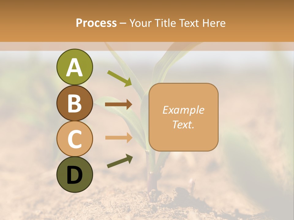 Dirt Beginnings Grain PowerPoint Template