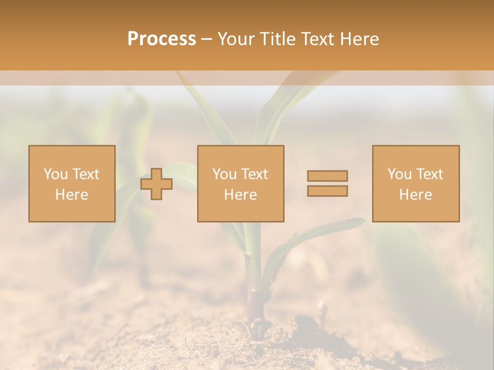 Dirt Beginnings Grain PowerPoint Template