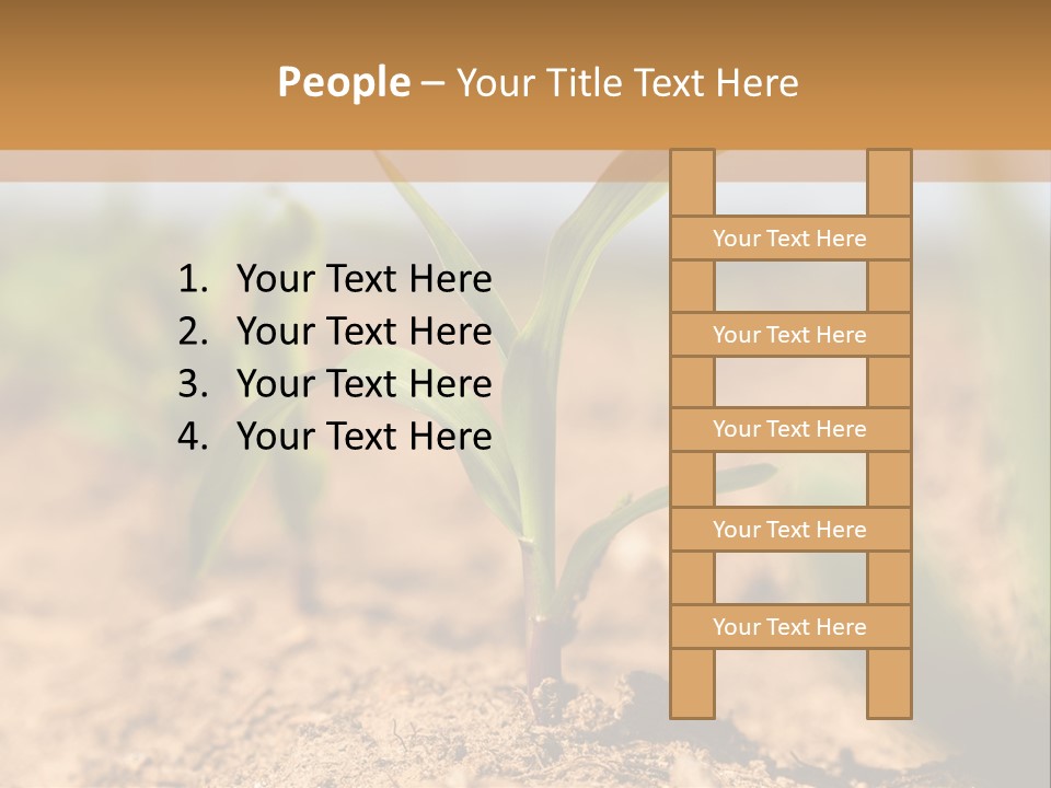 Dirt Beginnings Grain PowerPoint Template