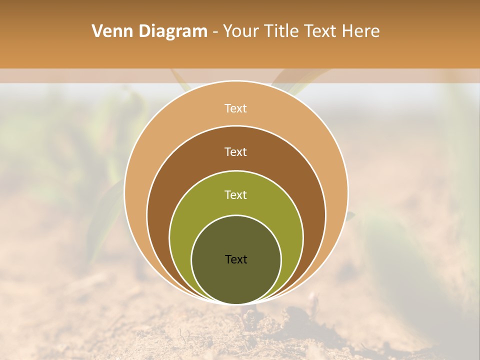 Dirt Beginnings Grain PowerPoint Template