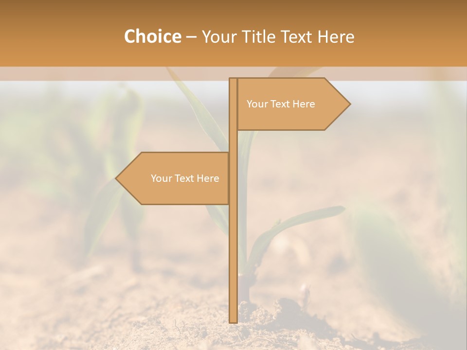 Dirt Beginnings Grain PowerPoint Template