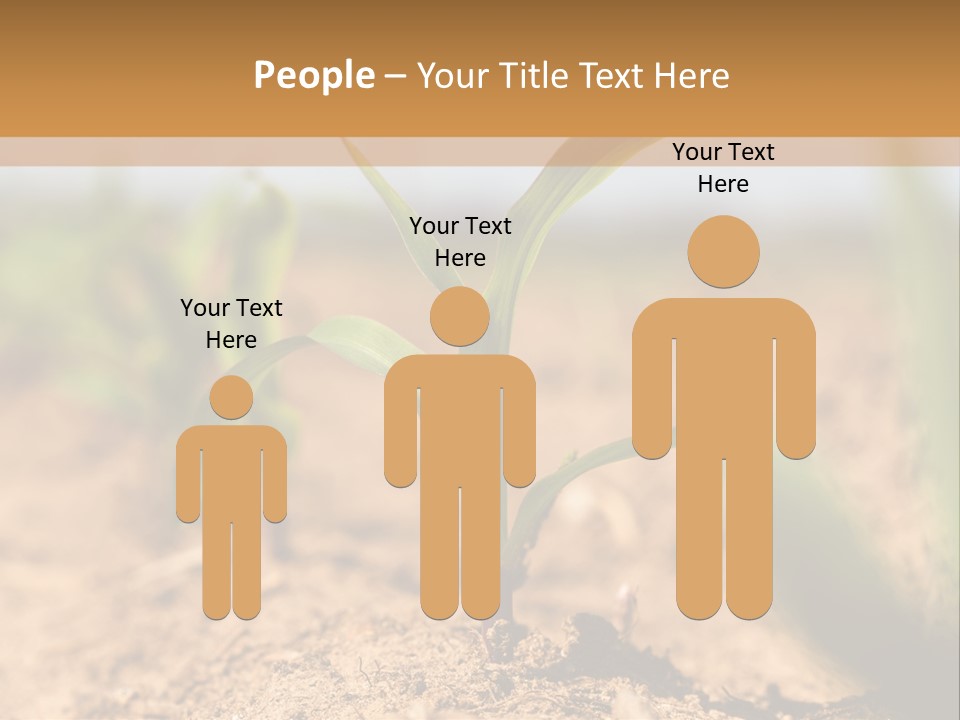 Dirt Beginnings Grain PowerPoint Template