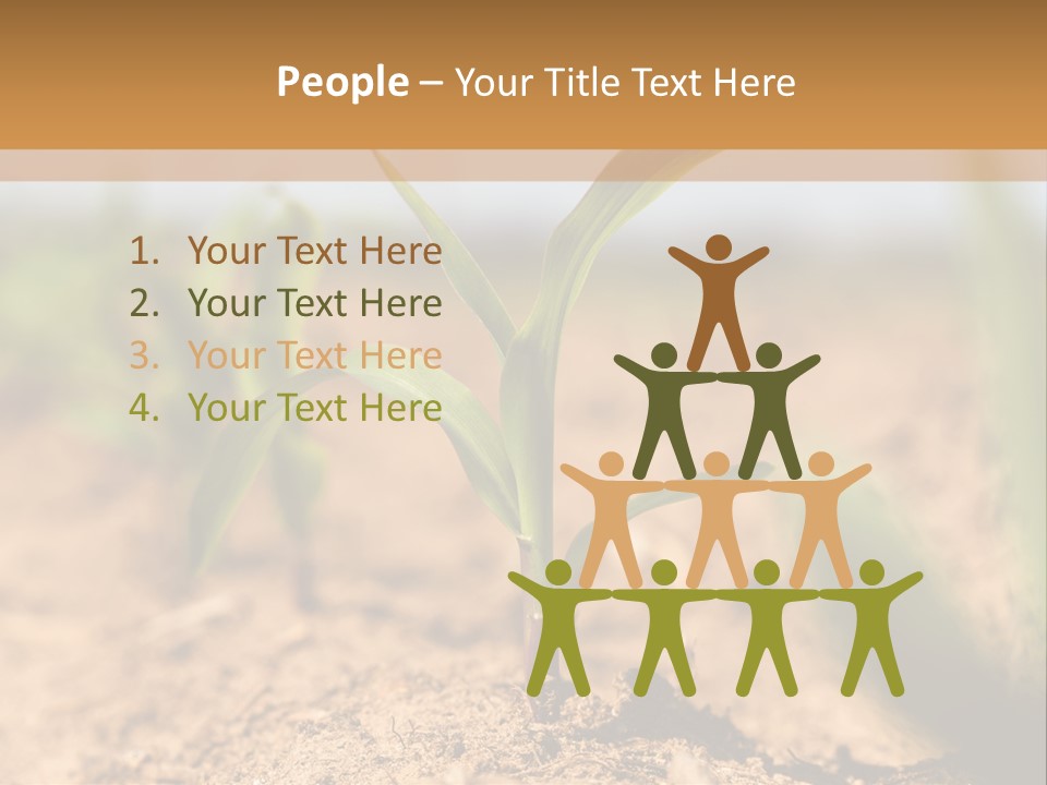 Dirt Beginnings Grain PowerPoint Template