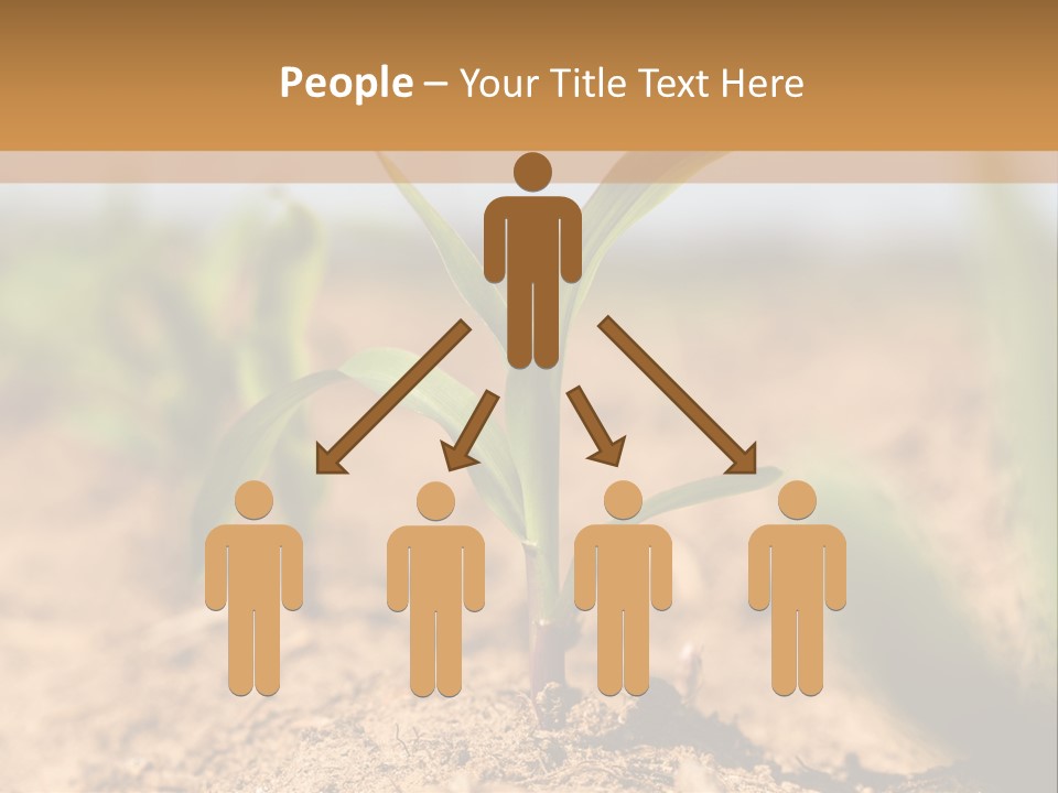 Dirt Beginnings Grain PowerPoint Template