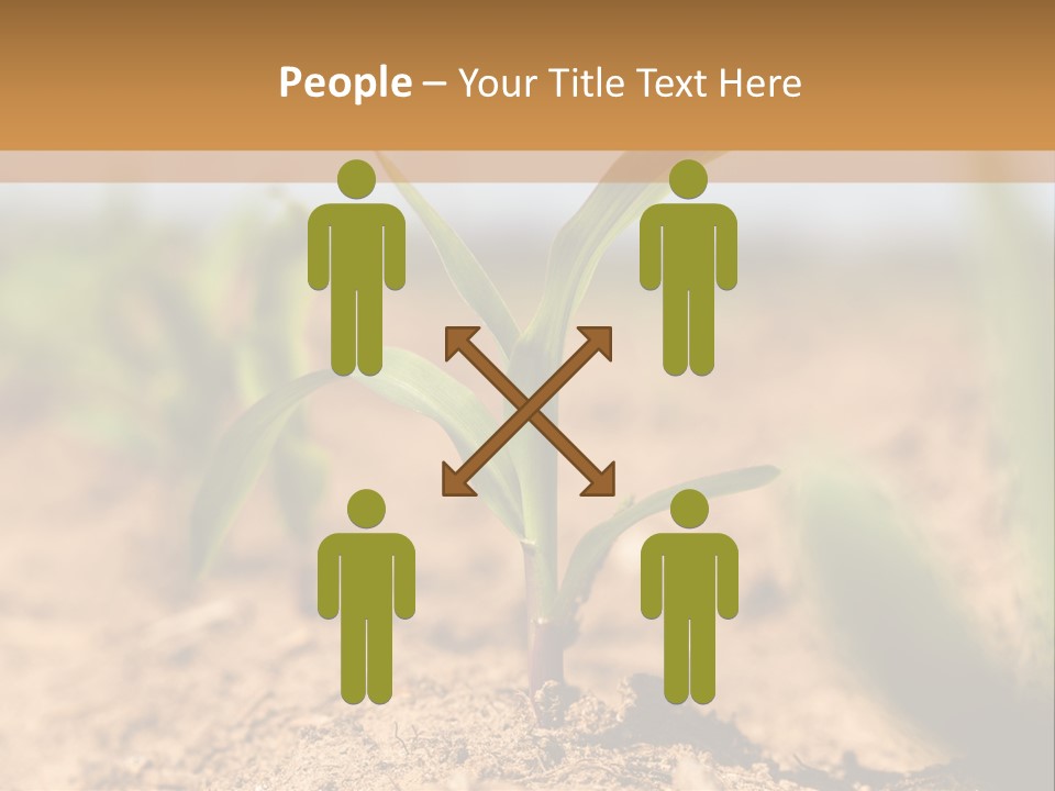 Dirt Beginnings Grain PowerPoint Template