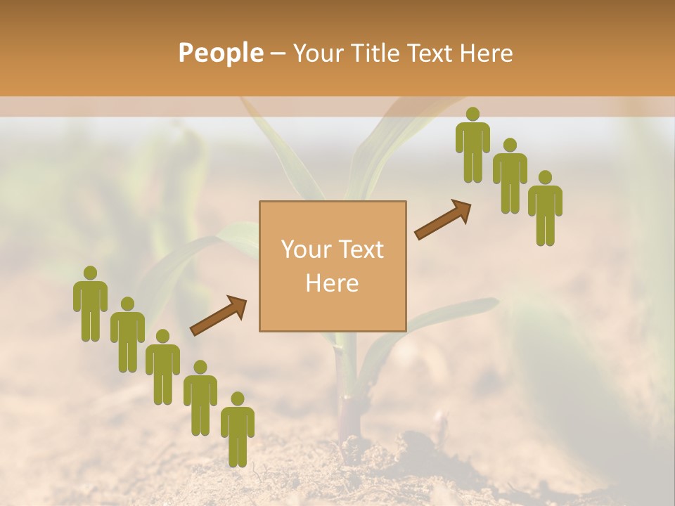Dirt Beginnings Grain PowerPoint Template