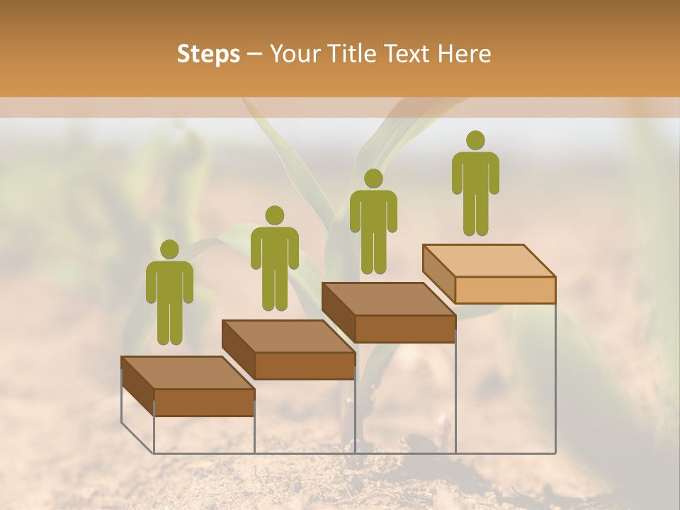 Dirt Beginnings Grain PowerPoint Template