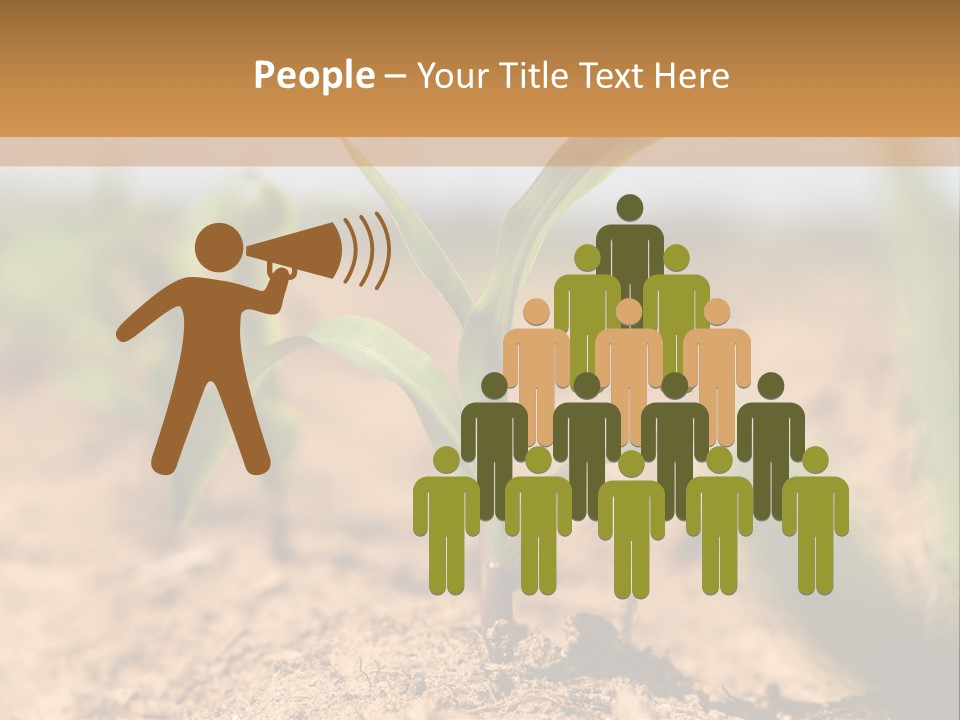 Dirt Beginnings Grain PowerPoint Template