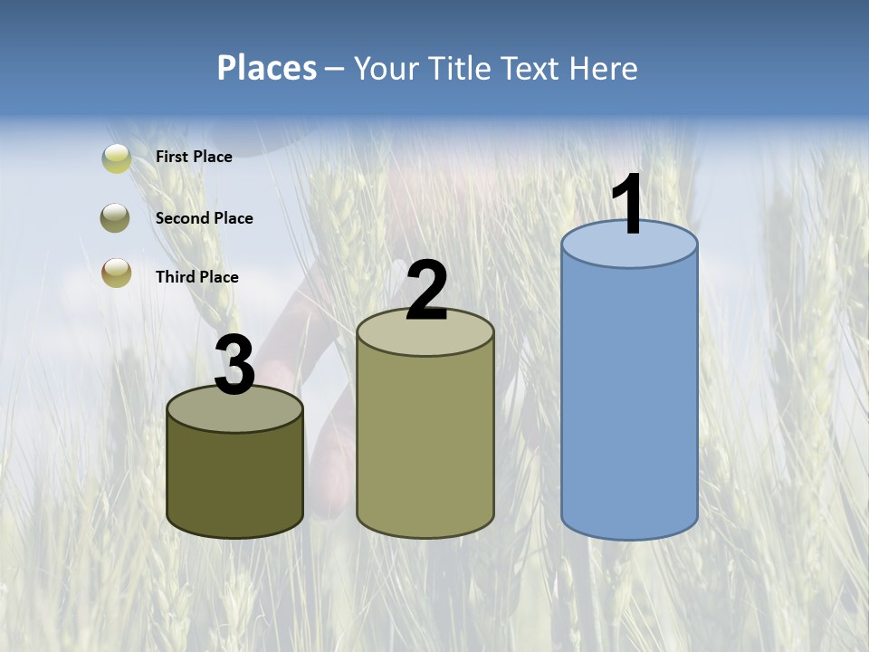 Cereals Grain Health PowerPoint Template