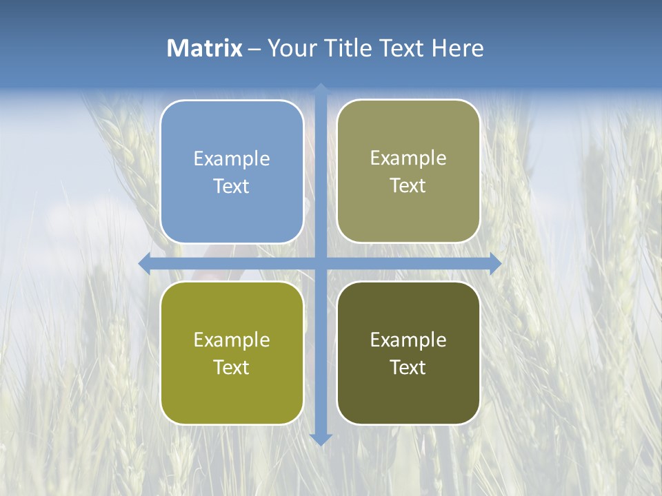 Cereals Grain Health PowerPoint Template
