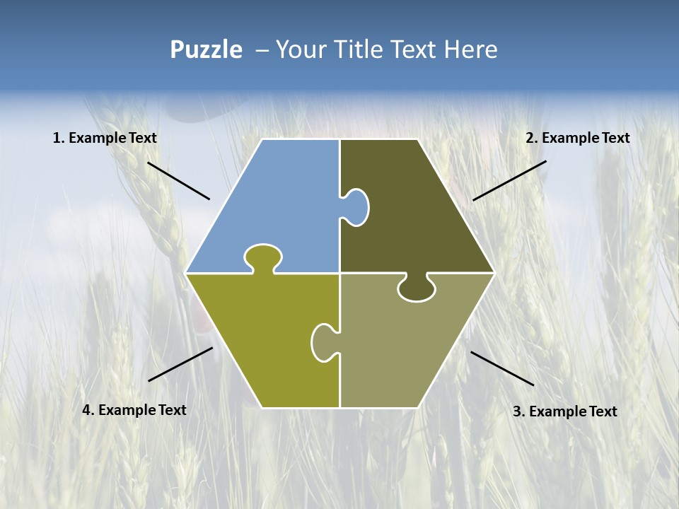 Cereals Grain Health PowerPoint Template