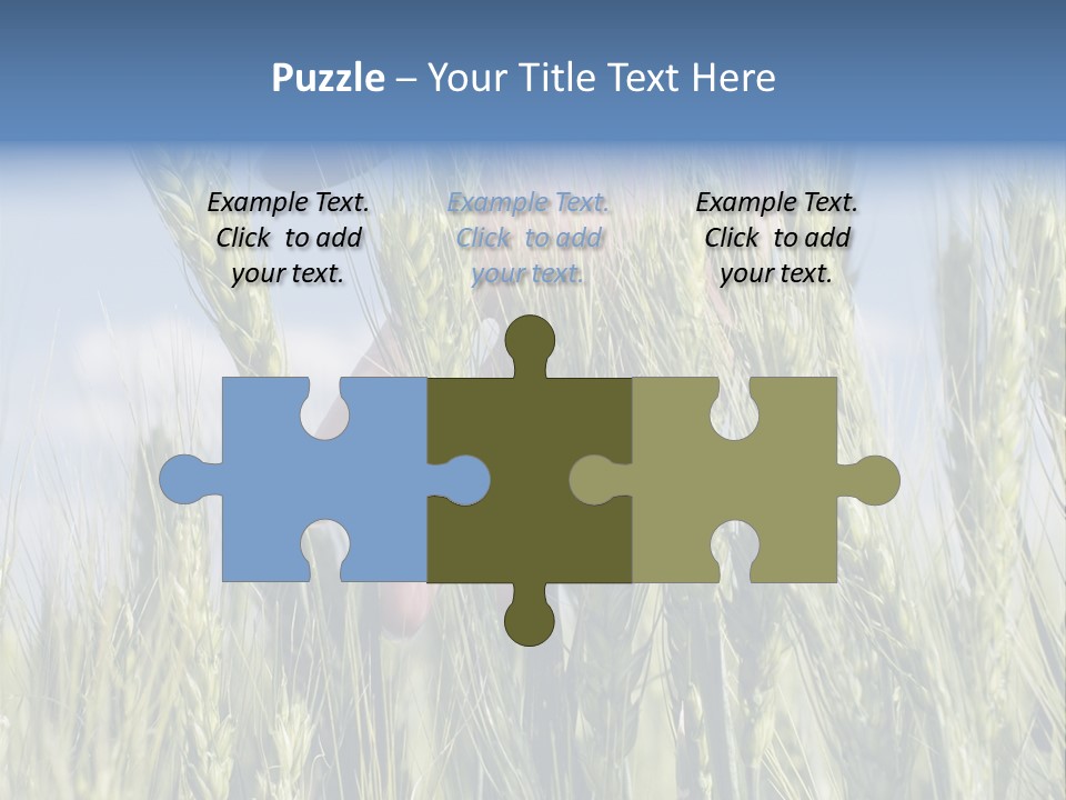 Cereals Grain Health PowerPoint Template