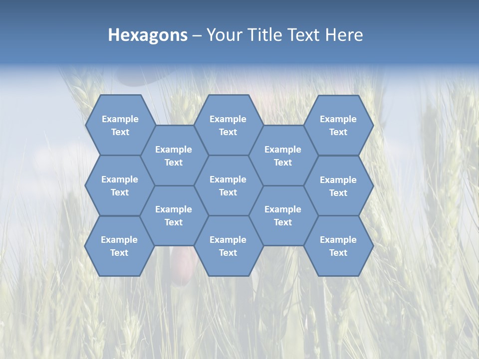 Cereals Grain Health PowerPoint Template