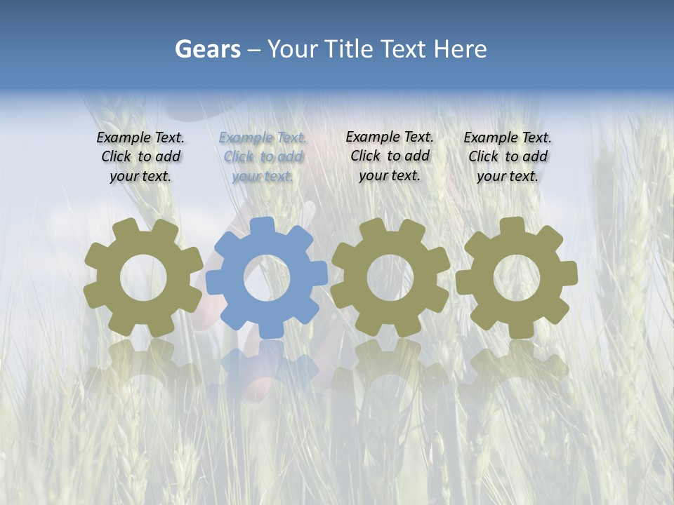 Cereals Grain Health PowerPoint Template