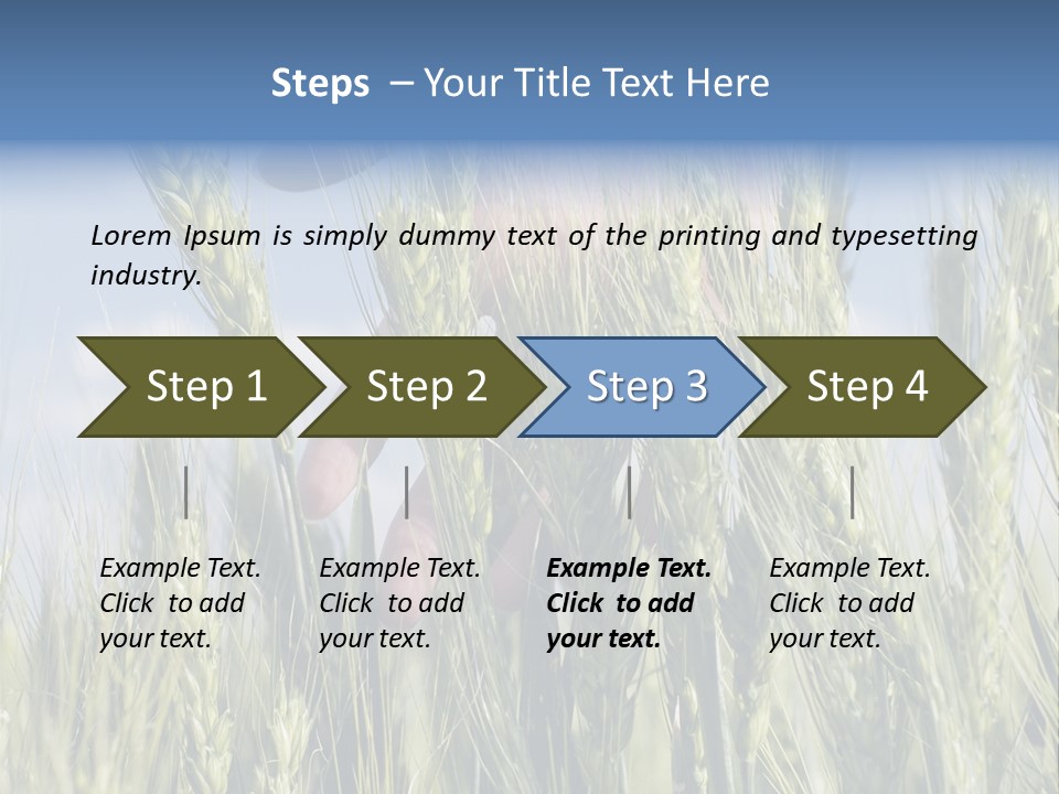 Cereals Grain Health PowerPoint Template