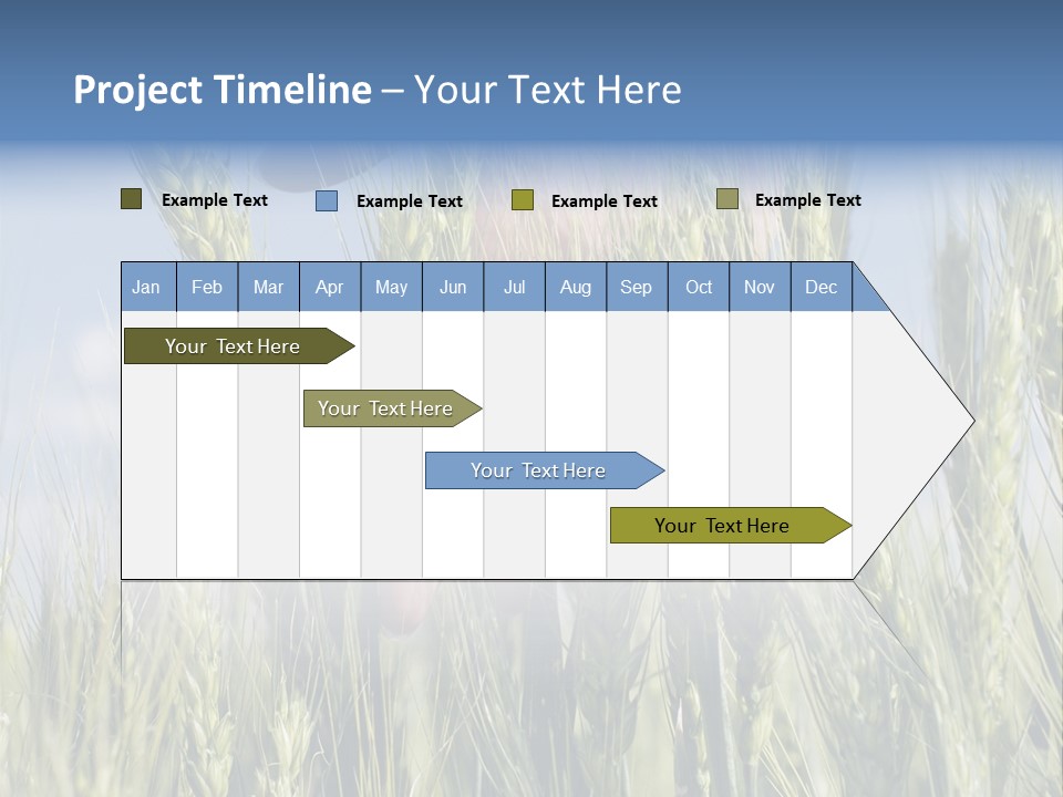 Cereals Grain Health PowerPoint Template