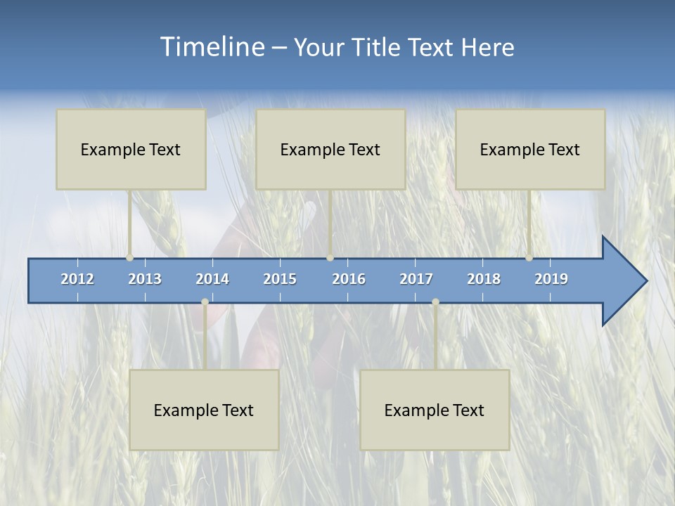 Cereals Grain Health PowerPoint Template