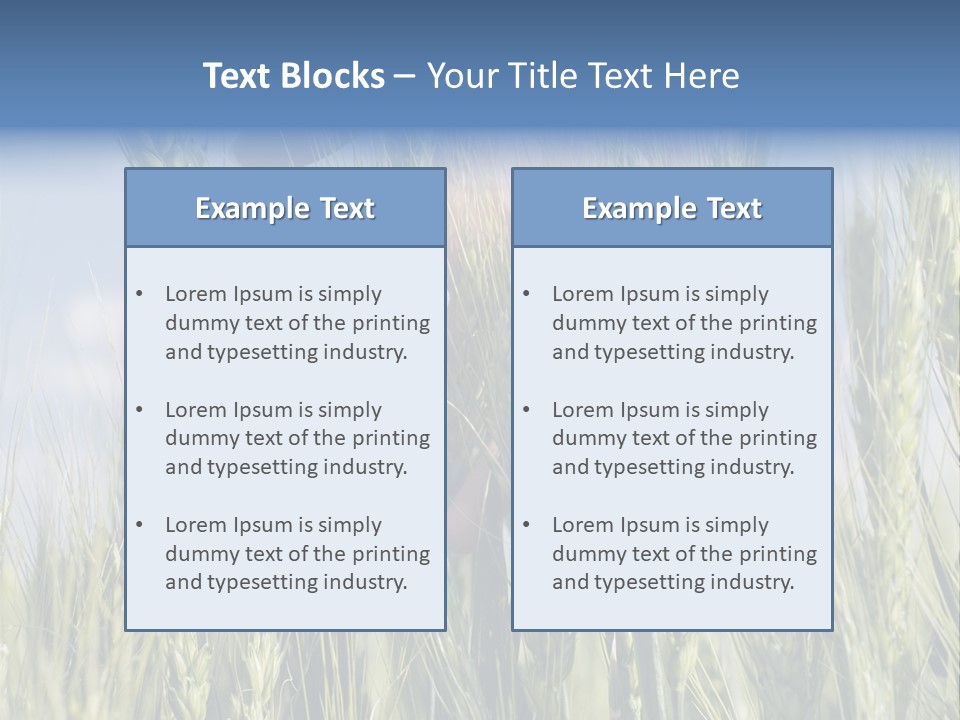 Cereals Grain Health PowerPoint Template