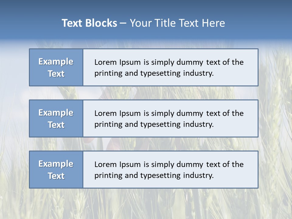 Cereals Grain Health PowerPoint Template