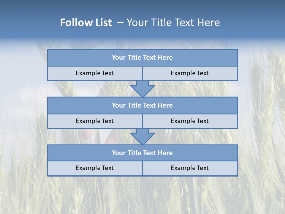 Cereals Grain Health PowerPoint Template