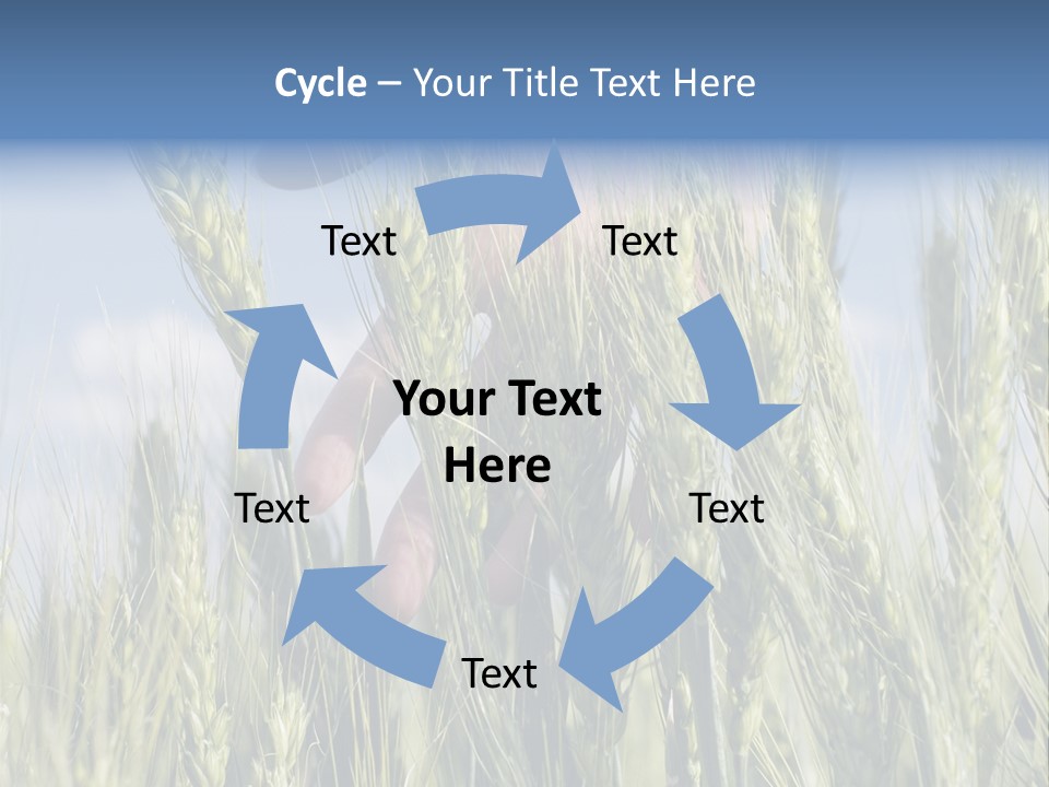 Cereals Grain Health PowerPoint Template