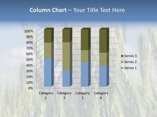 Cereals Grain Health PowerPoint Template