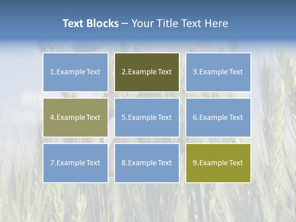 Cereals Grain Health PowerPoint Template