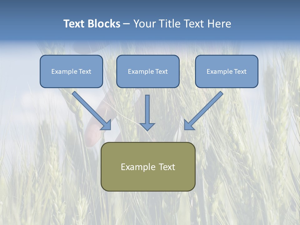 Cereals Grain Health PowerPoint Template