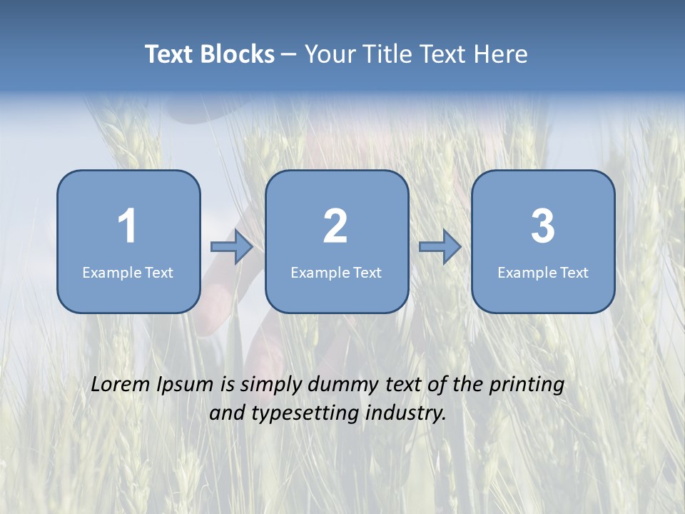 Cereals Grain Health PowerPoint Template