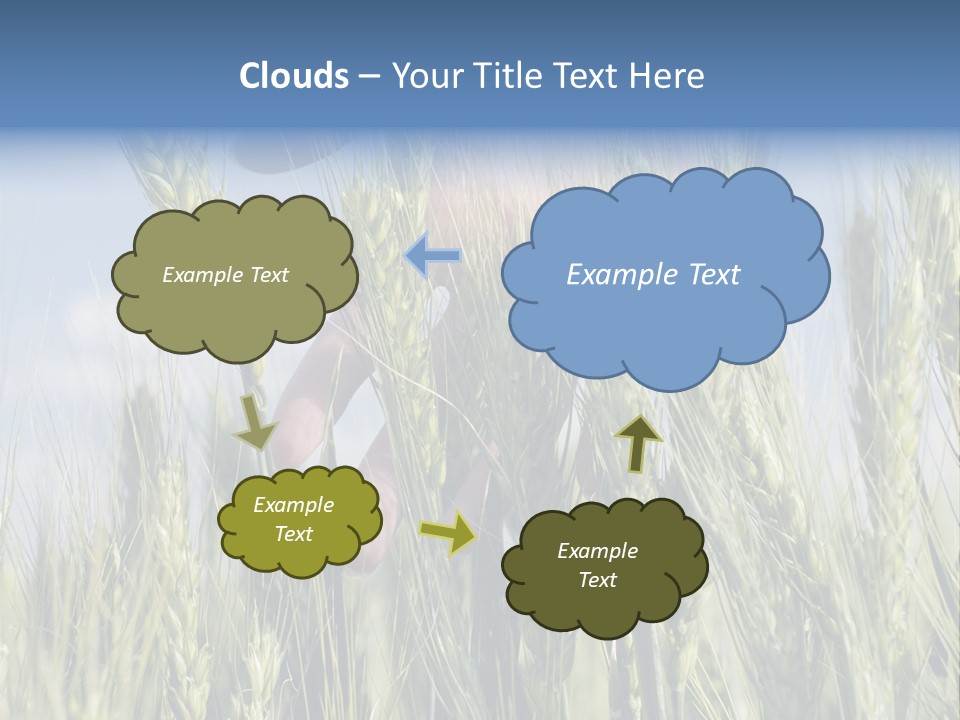 Cereals Grain Health PowerPoint Template