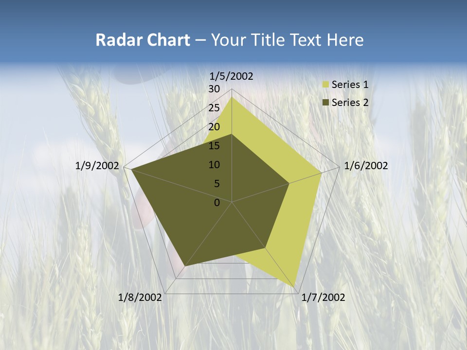 Cereals Grain Health PowerPoint Template