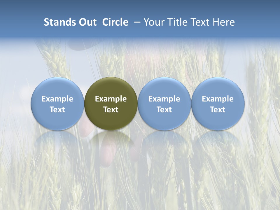 Cereals Grain Health PowerPoint Template