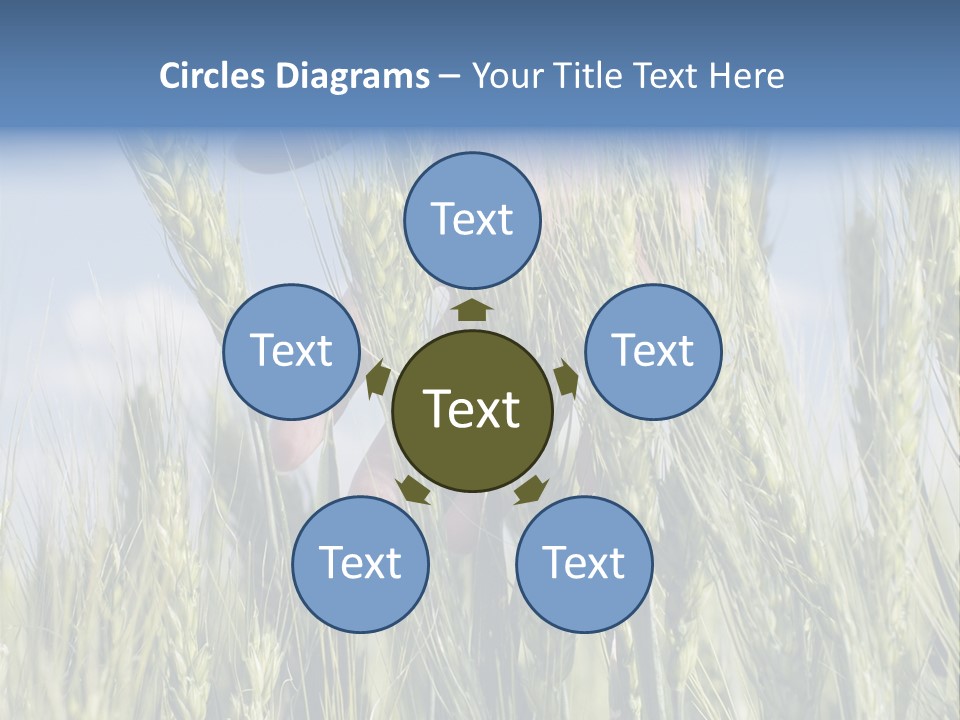 Cereals Grain Health PowerPoint Template