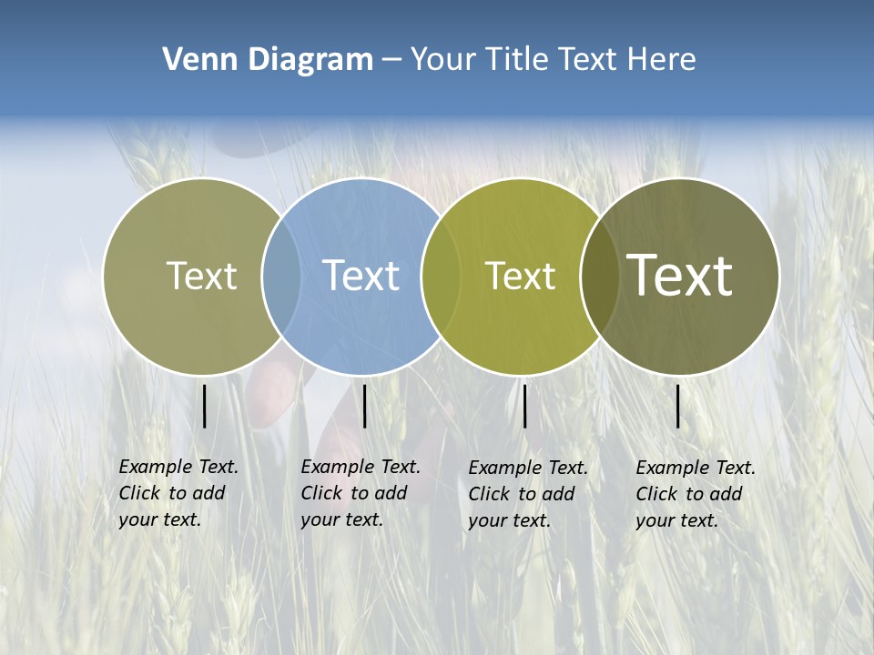 Cereals Grain Health PowerPoint Template