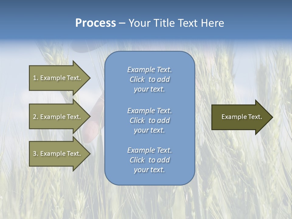 Cereals Grain Health PowerPoint Template