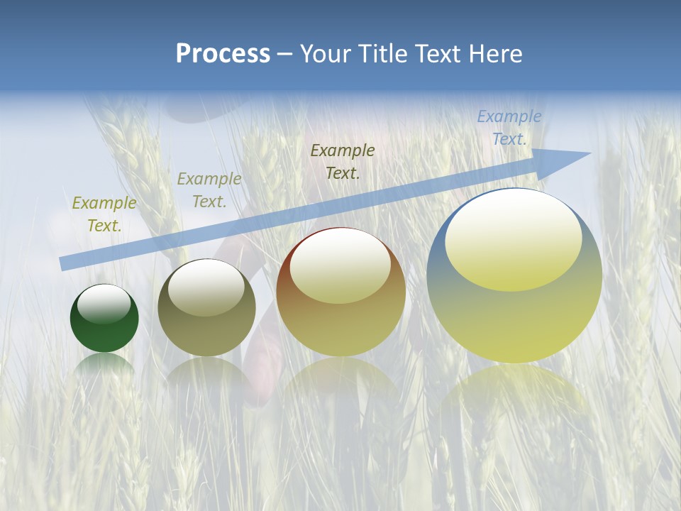 Cereals Grain Health PowerPoint Template
