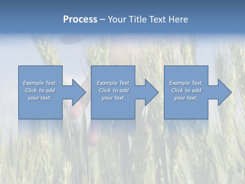 Cereals Grain Health PowerPoint Template