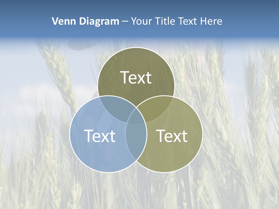 Cereals Grain Health PowerPoint Template