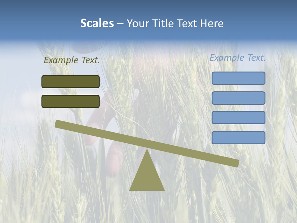 Cereals Grain Health PowerPoint Template