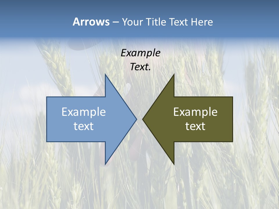 Cereals Grain Health PowerPoint Template