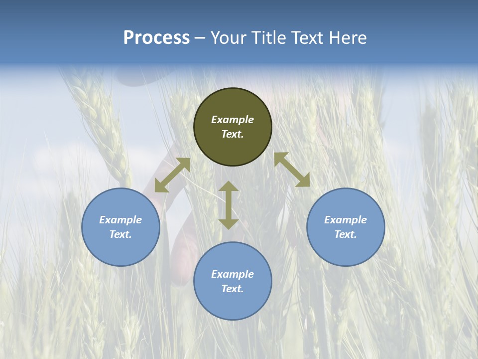 Cereals Grain Health PowerPoint Template