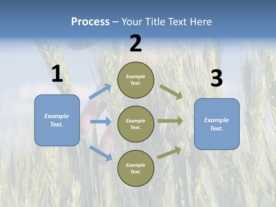 Cereals Grain Health PowerPoint Template