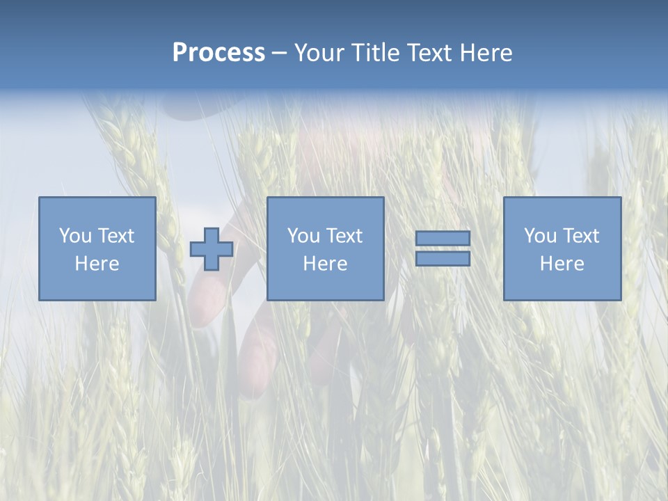 Cereals Grain Health PowerPoint Template