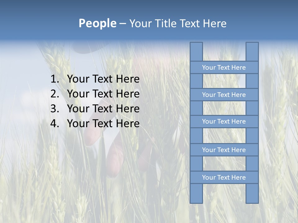 Cereals Grain Health PowerPoint Template